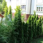 Bamboo Wellness * Siófok