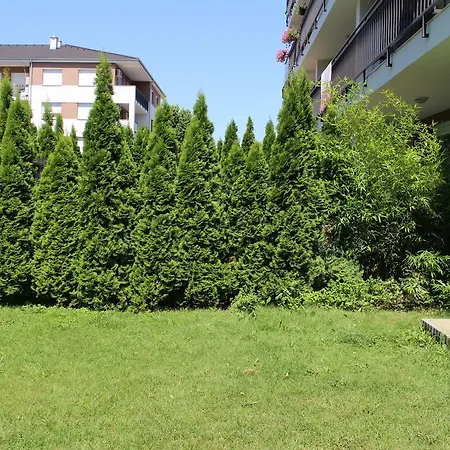 Bamboo Wellness Siofok