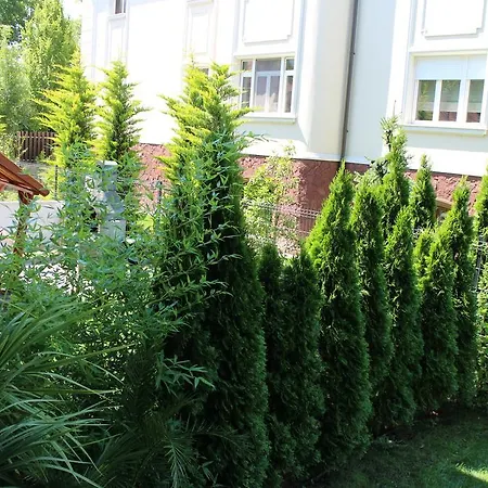 Bamboo Wellness * Siofok