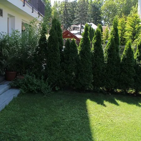 Bamboo Wellness Daire