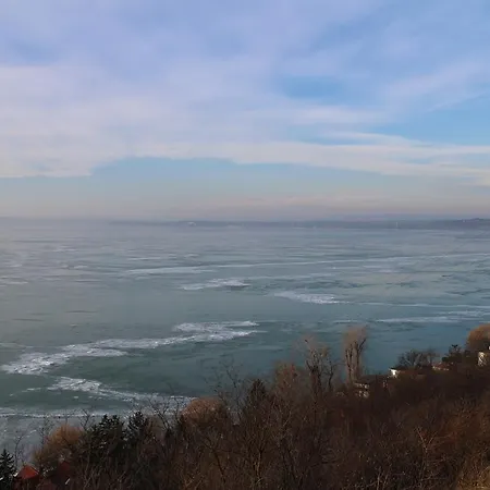 Bamboo Wellness Daire Siofok