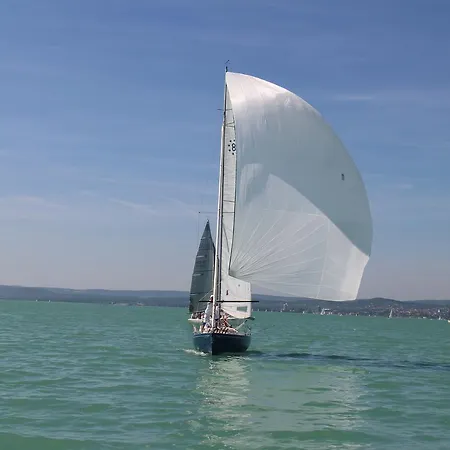 Daire Bamboo Wellness