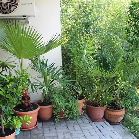 Lägenhet Bamboo Wellness *