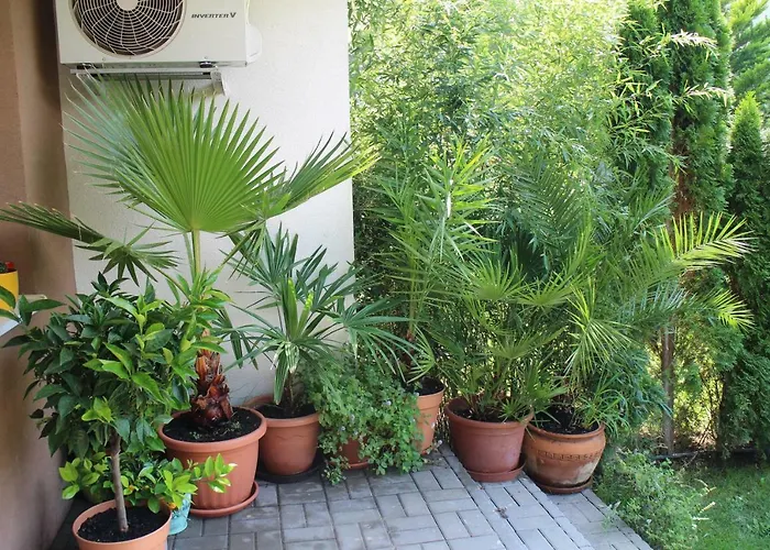 Appartamento Bamboo Wellness *